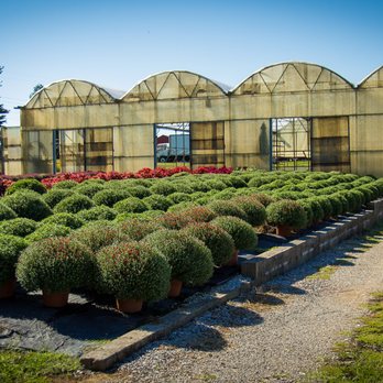 Red Barn Nursery - Nurseries & Gardening Near Me - Nicholasville, Kentucky Red Barn Nursery - Nurseries & Gardening Near Me - Nicholasville, Kentucky