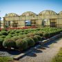 Photo of Red Barn Nursery