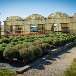 Red Barn Nursery