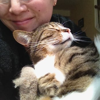 Kimmy's Cat Care - Pet Sitting Near Me Kimmy's Cat Care - Pet Sitting Near Me