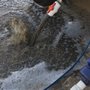 Quality Carpet Cleaners