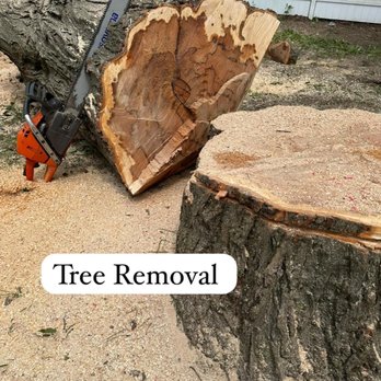 Ramirez Tree Services - Ramirez Tree Services, Expert Tree Removal, Licensed & Insurance, Free Estimate - Tree Services Near Me Ramirez Tree Services - Ramirez Tree Services, Expert Tree Removal, Licensed & Insurance, Free Estimate - Tree Services Near Me