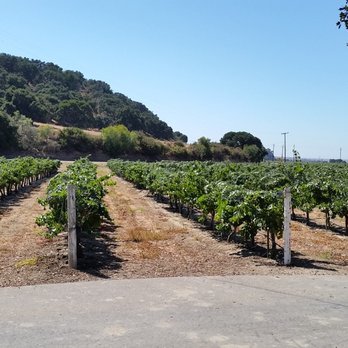 Riverbench Vineyard & Winery - Wineries Near Me - Santa Maria, California Riverbench Vineyard & Winery - Wineries Near Me - Santa Maria, California