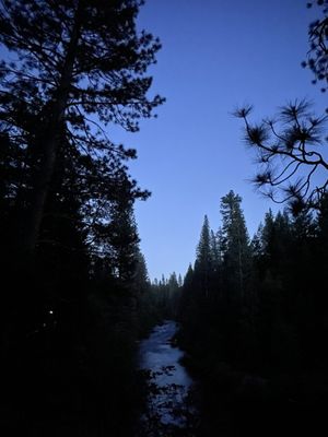 Wawona Campground by null