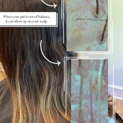 The Scalp Sanctuary
