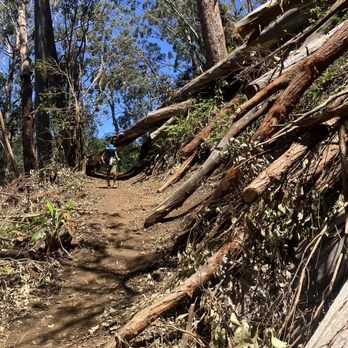Aiea Loop Trail - Hiking Near Me - Aiea, Hawaii
