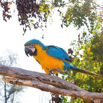 Nova Wild - Petting Zoos Near Me - Vienna, Virginia