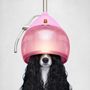 Photo of Pampered Paws Cage Free Pet Grooming