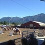 Photo of The Skamania County Fair