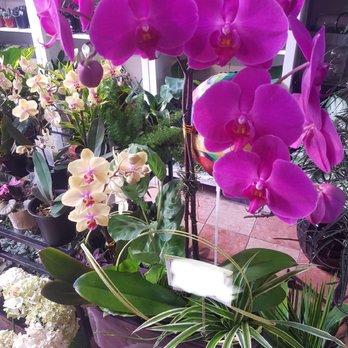 Flowers by Michael - Florists Near Me - Vancouver, British Columbia Flowers by Michael - Florists Near Me - Vancouver, British Columbia