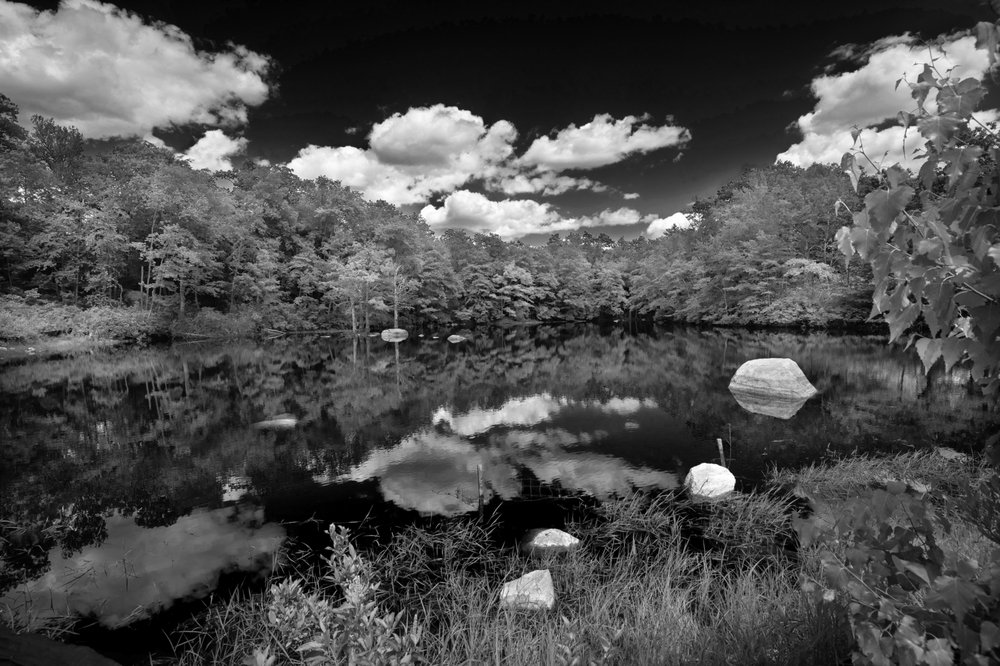 PONDVIEW ESTATES Updated September 2024 71 Photos 100 Julia Dr