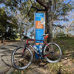 Toga Bikes Shop