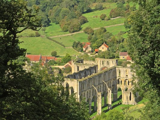 Rievaulx Abbey by null