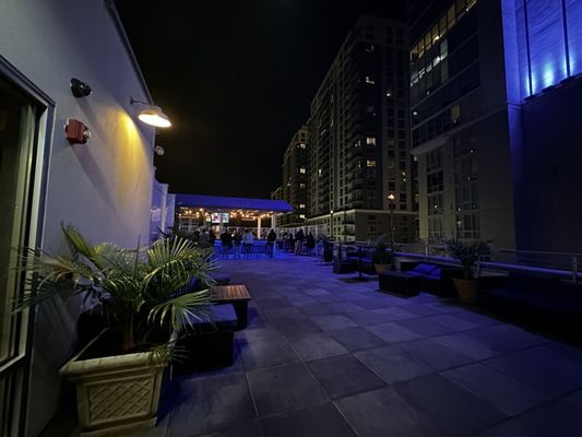 Sign of the Whale by null