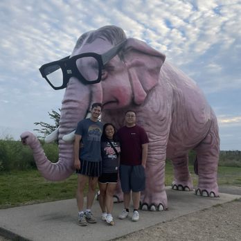 Pink Elephant - Public Art Near Me - DeForest, Wisconsin