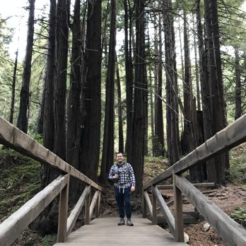 Limekiln State Park - Campgrounds Near Me - Big Sur, California Limekiln State Park - Campgrounds Near Me - Big Sur, California