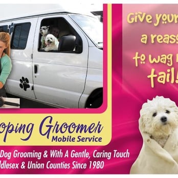 Galloping Groomers - Pet Groomers Near Me - Sewaren, New Jersey Galloping Groomers - Pet Groomers Near Me - Sewaren, New Jersey