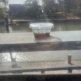 bee trap