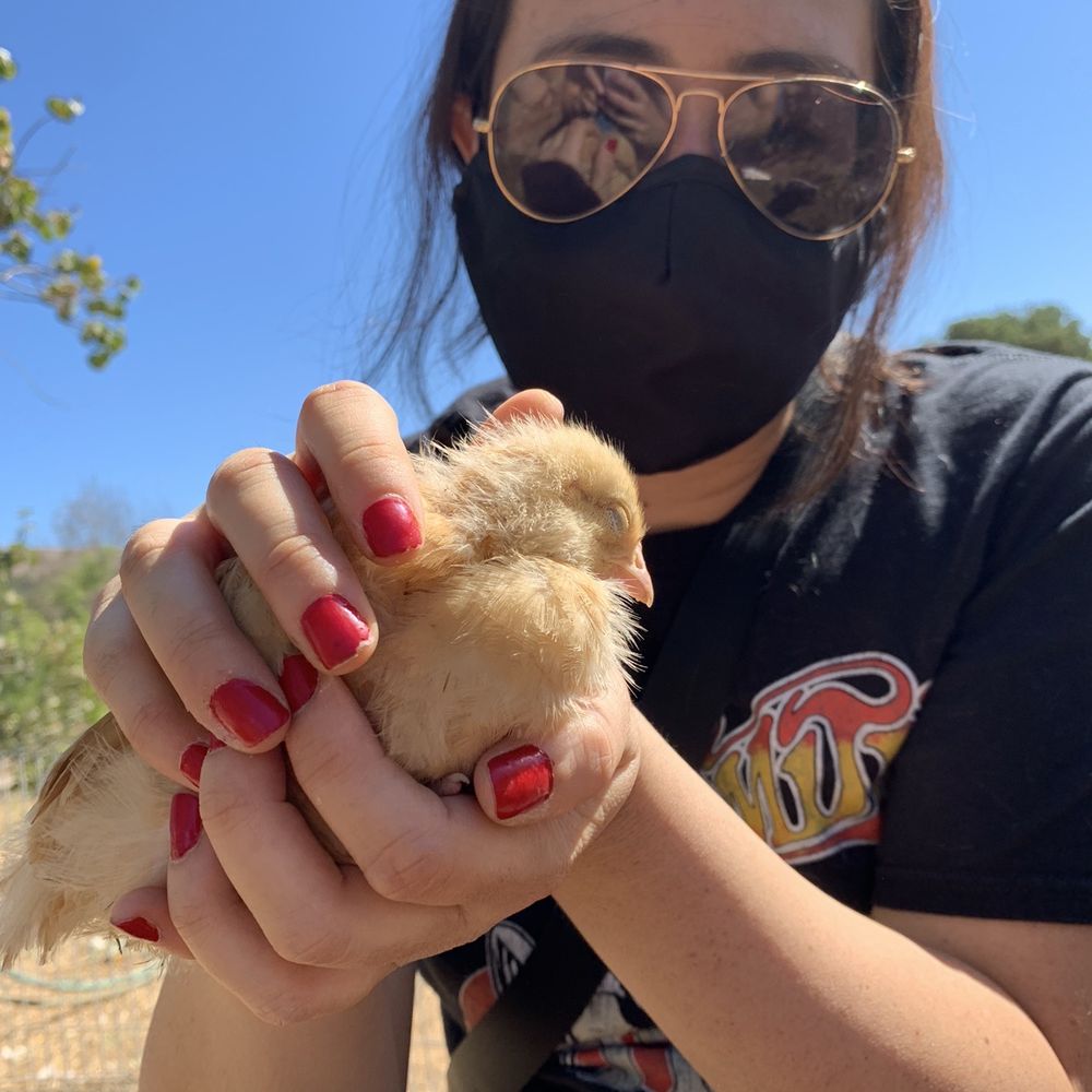 Back-to-Eden Ranch - Attraction Farms Near Me - Gilroy, California