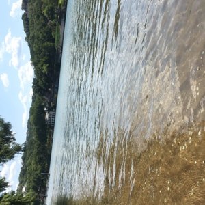 EMMA LONG METROPOLITAN PARK - 79 Photos & 95 Reviews - 1600 City Park