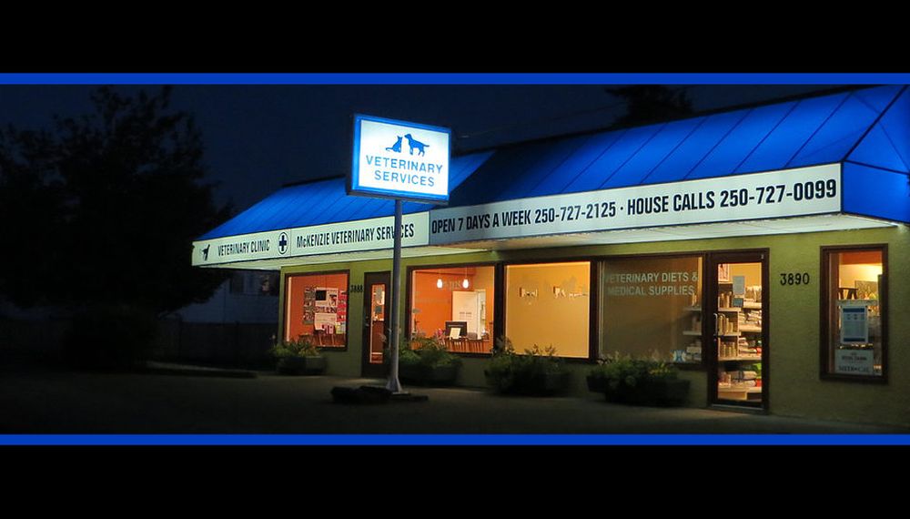 MCKENZIE VETERINARY SERVICES Updated August 2024 22 Reviews 3888