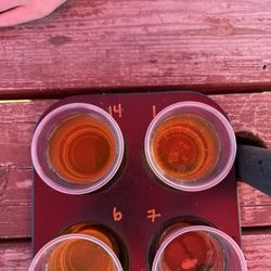 Blue Toad Hard Cider