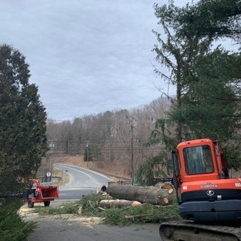 L&t Tree Services - In the process of finishing the project. - Tree Services Near Me L&t Tree Services - In the process of finishing the project. - Tree Services Near Me