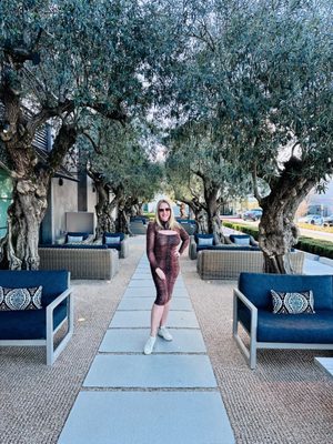 RH Marin | The Gallery at The Village by null