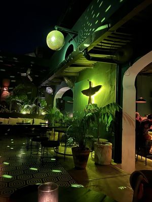 El Colibrí Cocktail Bar by null