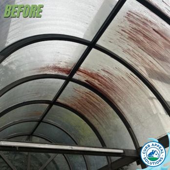 Curb Appeal Solutions - Before cleaning industrial awning - Pressure Washers Near Me - Greenville, South Carolina Curb Appeal Solutions - Before cleaning industrial awning - Pressure Washers Near Me - Greenville, South Carolina