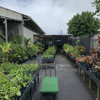 Koolau Farmers - Lots of plant - Home & Garden Near Me - Kaneohe, Hawaii Koolau Farmers - Lots of plant - Home & Garden Near Me - Kaneohe, Hawaii