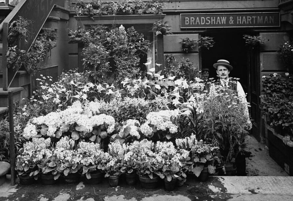 NYC Historic Floral District Museum