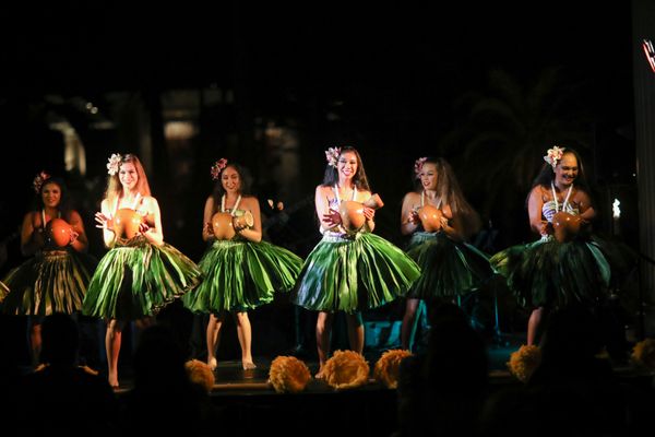 Hawaii Alive Luau Show by null