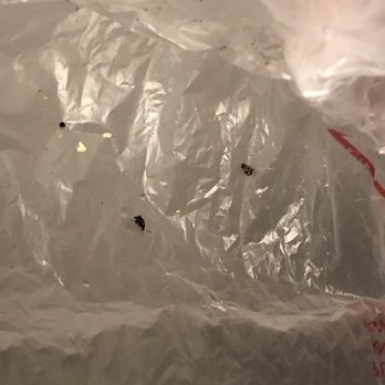 Sprouts Farmers Market - Insects I found in my bag of Black Eyed Peas. - Grocery Near Me - El Paso, Texas Sprouts Farmers Market - Insects I found in my bag of Black Eyed Peas. - Grocery Near Me - El Paso, Texas