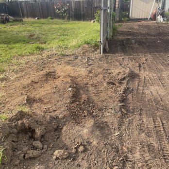 FB Tree Services - Bad stump grind job - Tree Services Near Me - North Highlands, California