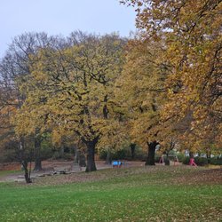 Innocentiapark