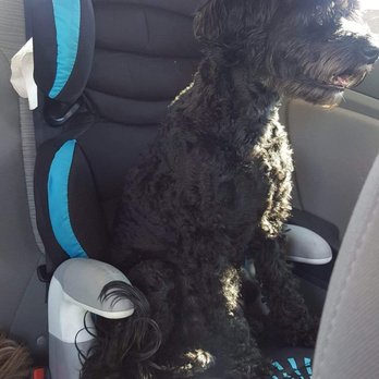 All About Restful Pets - Pet Hospice Near Me