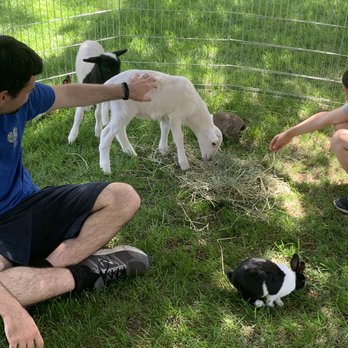 Pony Ranch Parties - Petting Zoos Near Me