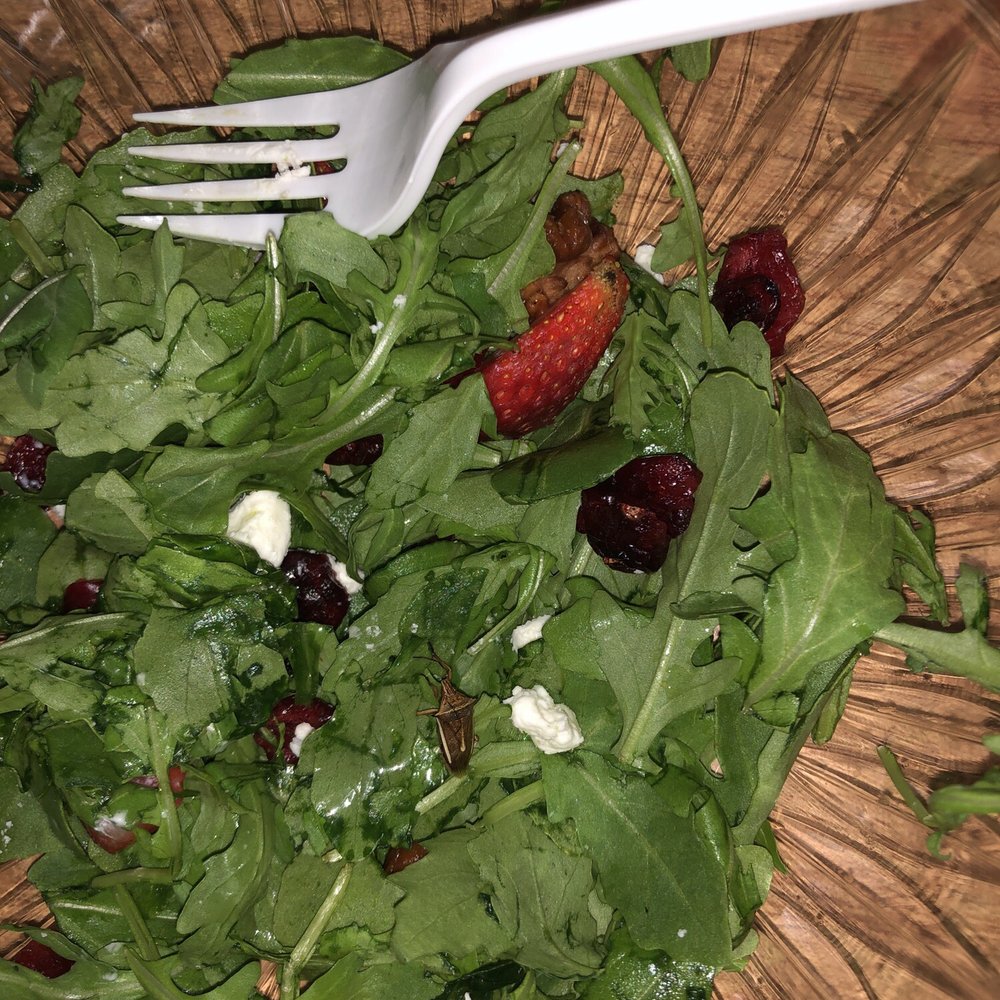Alex Lounge Bar & Grill - Absolutely disgusting. Ordered some food from here on Uber eats and there was a bug in my salad. Don't eat here. - Lounges Near Me - White Plains, New York Alex Lounge Bar & Grill - Absolutely disgusting. Ordered some food from here on Uber eats and there was a bug in my salad. Don't eat here. - Lounges Near Me - White Plains, New York