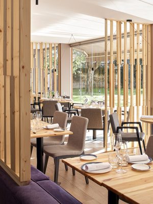 Restaurant dvisi by null