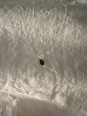 Hôtel Zéro1 by null