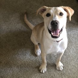 The best boy!! The best boy!!