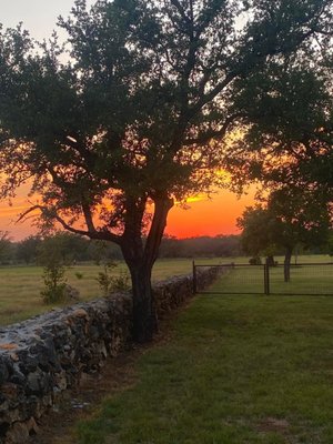 Ab Astris Winery by null