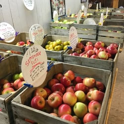 Brightonwoods Orchard - So many varieties of apples to choose from!