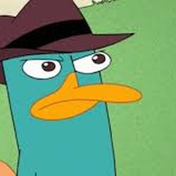 Landrum's Florist - perry the platypus