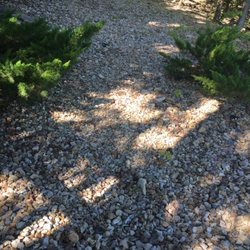 Less Junk Removal + Landscaping - Before picture of path