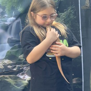 Reptacular Animals - Party & Event Planning Near Me - Sun Valley, California Reptacular Animals - Party & Event Planning Near Me - Sun Valley, California