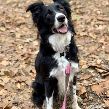Ridley Creek State Park - Hiking Near Me - Media, Pennsylvania