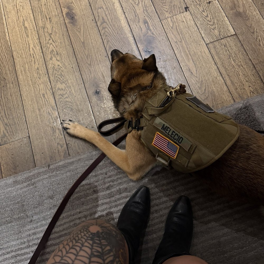 Dog friendly