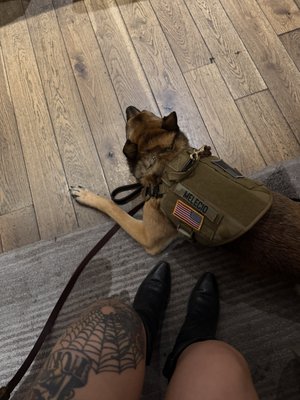 Kimpton Canary Hotel by null Kimpton Canary Hotel by null